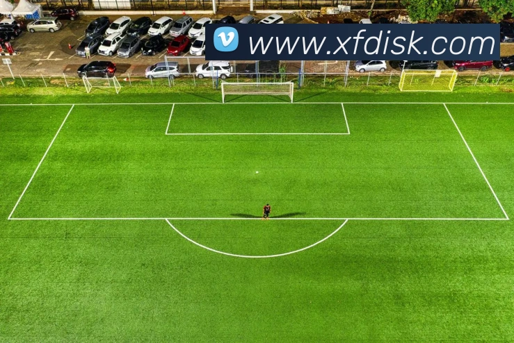 bsports官网登录入口平台生态图